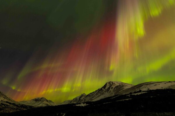 Nature's Fireworks