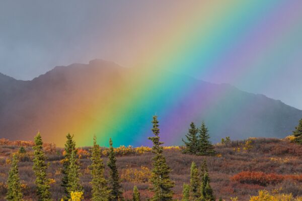 End of the Rainbow